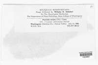 Image Associated With the Occurence